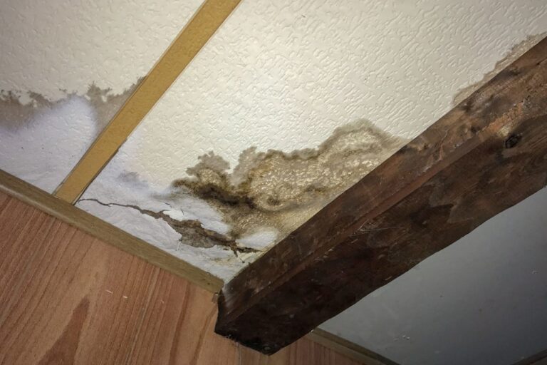 Cost To Repair Ceiling Water Damage – Can You Repair The Ceiling Yourself?
