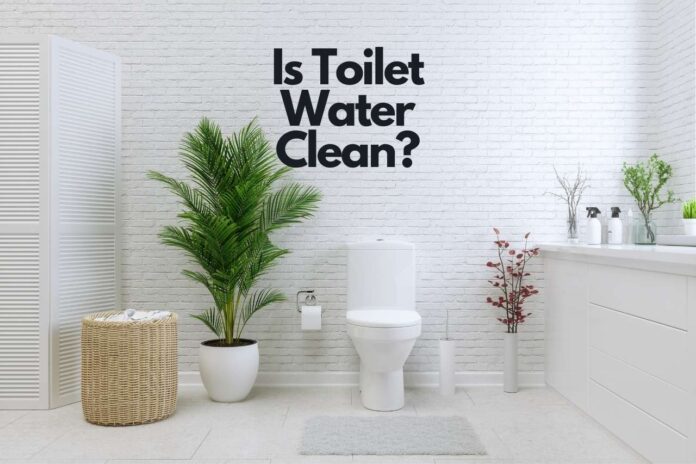 Is Toilet Water Clean