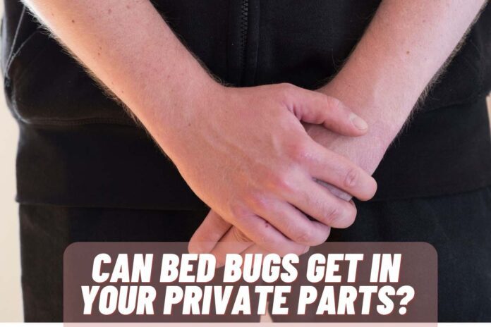 Can Bed Bugs Get in Your Private Parts