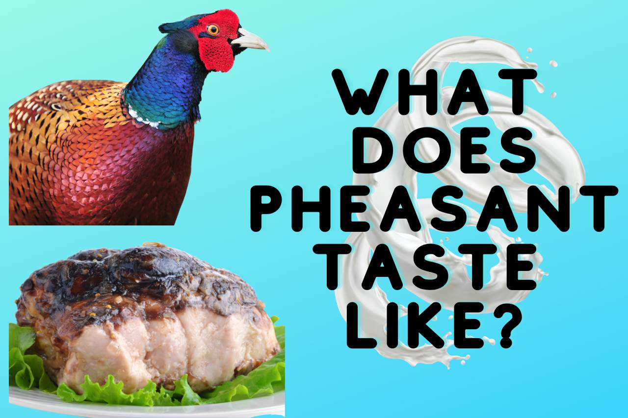 What Does Pheasant Taste Like? [Quick & Interesting Facts]
