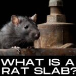 what is a rat slab